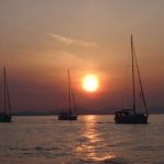 Sailing20091 800x600