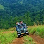 jeep safari 800x600 1 800x600