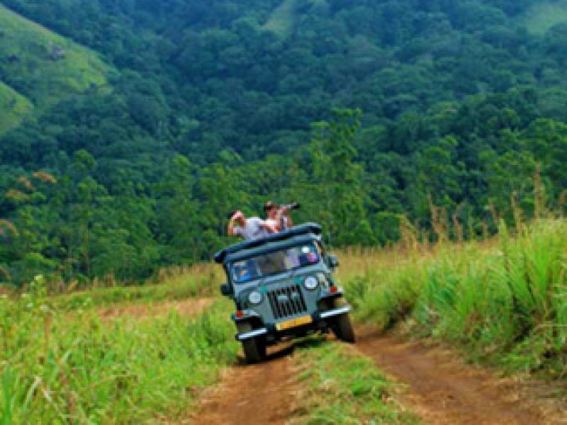 jeep safari 800x600 1 800x600