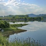 kerkini lake 2 560 800x600